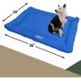 Coleman Large Dog Bed for Travel, Roll Up Foldable Packable Pet Mat Travel Beds