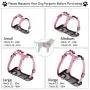 Coastal - Walk Right - Front-Connect Padded Dog Harness, Red, MED (20''-30'')