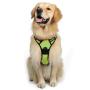 rabbitgoo Dog Harness, No-Pull Pet Harness with 2 Leash Clips, Adjustable Soft Padded Dog Vest, Reflective No-Choke Pet Oxford Vest with Easy Control Handle for Small Dogs, Black, S