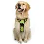 rabbitgoo Dog Harness, No-Pull Pet Harness with 2 Leash Clips, Adjustable Soft Padded Dog Vest, Reflective No-Choke Pet Oxford Vest with Easy Control Handle for Small Dogs, Black, S rabbitgoo Dog Harness, No-Pull Pet Harness with 2 Leash Clips, Adjustable Soft Padded Dog Vest, Reflective No-Choke Pet Oxford Vest with Easy Control Handle for Small Dogs, Black, S