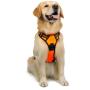 rabbitgoo Dog Harness, No-Pull Pet Harness with 2 Leash Clips, Adjustable Soft Padded Dog Vest, Reflective No-Choke Pet Oxford Vest with Easy Control Handle for Small Dogs, Black, S