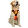 rabbitgoo Dog Harness, No-Pull Pet Harness with 2 Leash Clips, Adjustable Soft Padded Dog Vest, Reflective No-Choke Pet Oxford Vest with Easy Control Handle for Small Dogs, Black, S rabbitgoo Dog Harness, No-Pull Pet Harness with 2 Leash Clips, Adjustable Soft Padded Dog Vest, Reflective No-Choke Pet Oxford Vest with Easy Control Handle for Small Dogs, Black, S