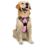 rabbitgoo Dog Harness, No-Pull Pet Harness with 2 Leash Clips, Adjustable Soft Padded Dog Vest, Reflective No-Choke Pet Oxford Vest with Easy Control Handle for Small Dogs, Black, S