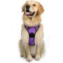 rabbitgoo Dog Harness, No-Pull Pet Harness with 2 Leash Clips, Adjustable Soft Padded Dog Vest, Reflective No-Choke Pet Oxford Vest with Easy Control Handle for Small Dogs, Black, S