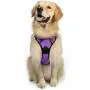 rabbitgoo Dog Harness, No-Pull Pet Harness with 2 Leash Clips, Adjustable Soft Padded Dog Vest, Reflective No-Choke Pet Oxford Vest with Easy Control Handle for Small Dogs, Black, S rabbitgoo Dog Harness, No-Pull Pet Harness with 2 Leash Clips, Adjustable Soft Padded Dog Vest, Reflective No-Choke Pet Oxford Vest with Easy Control Handle for Small Dogs, Black, S