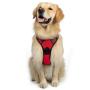 rabbitgoo Dog Harness, No-Pull Pet Harness with 2 Leash Clips, Adjustable Soft Padded Dog Vest, Reflective No-Choke Pet Oxford Vest with Easy Control Handle for Small Dogs, Black, S
