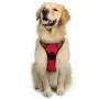 rabbitgoo Dog Harness, No-Pull Pet Harness with 2 Leash Clips, Adjustable Soft Padded Dog Vest, Reflective No-Choke Pet Oxford Vest with Easy Control Handle for Small Dogs, Black, S rabbitgoo Dog Harness, No-Pull Pet Harness with 2 Leash Clips, Adjustable Soft Padded Dog Vest, Reflective No-Choke Pet Oxford Vest with Easy Control Handle for Small Dogs, Black, S