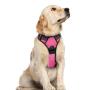 rabbitgoo Dog Harness, No-Pull Pet Harness with 2 Leash Clips, Adjustable Soft Padded Dog Vest, Reflective No-Choke Pet Oxford Vest with Easy Control Handle for Small Dogs, Black, S