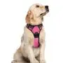 rabbitgoo Dog Harness, No-Pull Pet Harness with 2 Leash Clips, Adjustable Soft Padded Dog Vest, Reflective No-Choke Pet Oxford Vest with Easy Control Handle for Small Dogs, Black, S rabbitgoo Dog Harness, No-Pull Pet Harness with 2 Leash Clips, Adjustable Soft Padded Dog Vest, Reflective No-Choke Pet Oxford Vest with Easy Control Handle for Small Dogs, Black, S