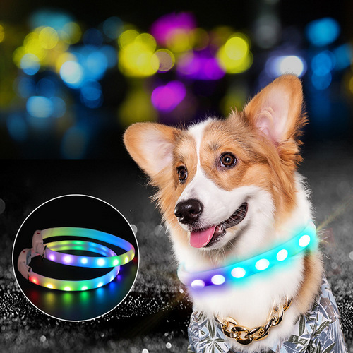 LED Leash